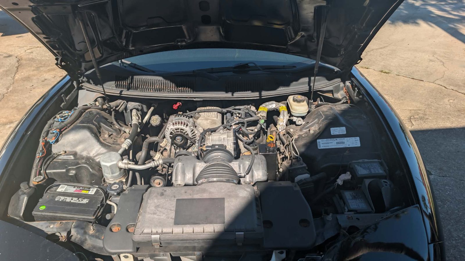 2000 Pontiac Firebird photo 17